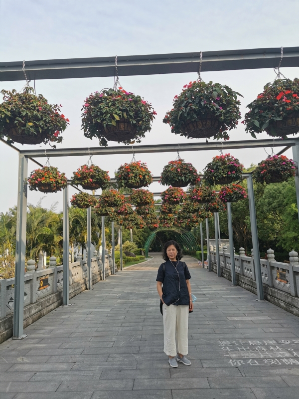 一叶知秋的第一张照片--厦门闪婚服务中心